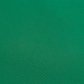 54954 TNT (1,40 m, 40 g) Verde Bilhar Ref 003 - Santa Fe