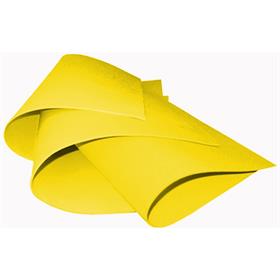 101812 Placa em Eva 60 cm x 40 cm Amarelo - V.M.P. PCT.C/10
