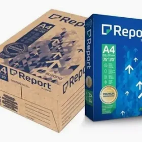 PAPEL SULFITE REPORT CX C/5000 10 RESMA